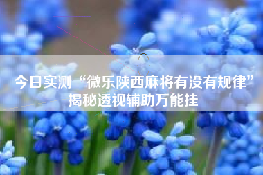 今日实测“微乐陕西麻将有没有规律”揭秘透视辅助万能挂