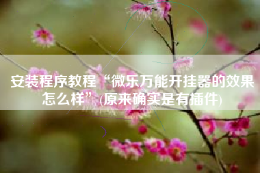 安装程序教程“微乐万能开挂器的效果怎么样	”(原来确实是有插件)