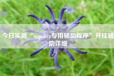 今日实测“wepoker专用辅助程序”开挂辅助详细