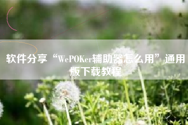 软件分享“WePOKer辅助器怎么用”通用版下载教程