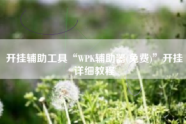 开挂辅助工具“WPK辅助器(免费)	”开挂详细教程