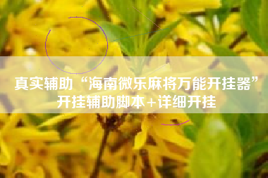 真实辅助“海南微乐麻将万能开挂器”开挂辅助脚本+详细开挂