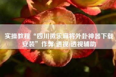 实操教程“四川微乐麻将外卦神器下载安装	”作弊(透视)透视辅助