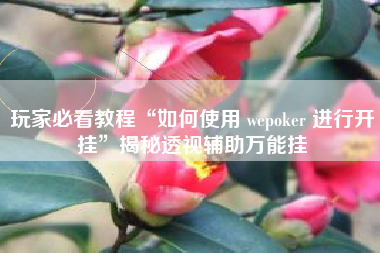 玩家必看教程“如何使用 wepoker 进行开挂”揭秘透视辅助万能挂