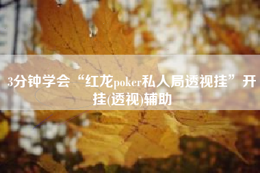 3分钟学会“红龙poker私人局透视挂”开挂(透视)辅助