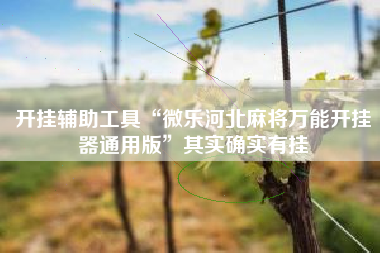 开挂辅助工具“微乐河北麻将万能开挂器通用版”其实确实有挂