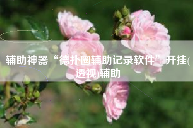 辅助神器“德扑圈辅助记录软件”开挂(透视)辅助