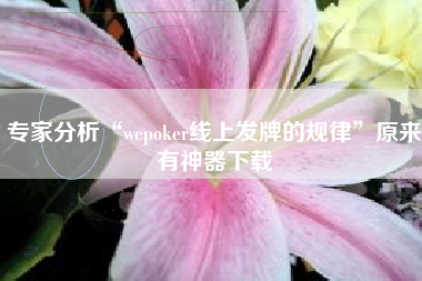 专家分析“wepoker线上发牌的规律	”原来有神器下载