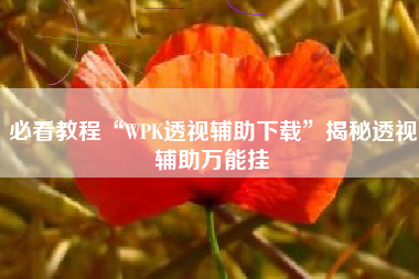 必看教程“WPK透视辅助下载	”揭秘透视辅助万能挂