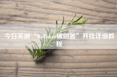 今日实测“WePoker辅助器”开挂详细教程