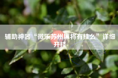辅助神器“微乐苏州麻将有挂么	”详细开挂