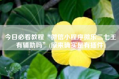 今日必看教程“微信小程序微乐二七王有辅助吗”(原来确实是有插件)
