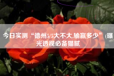 今日实测“德州5/5大不大,输赢多少	”(曝光透视必备猫腻