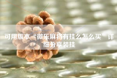 可用版本“微乐麻将有挂么怎么买	”详细分享装挂