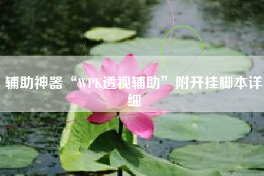 辅助神器“WPK透视辅助”附开挂脚本详细