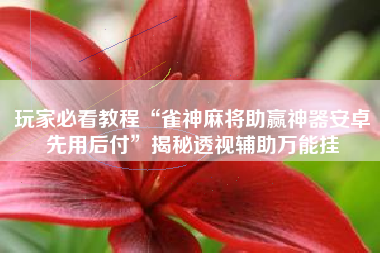 玩家必看教程“雀神麻将助赢神器安卓先用后付”揭秘透视辅助万能挂