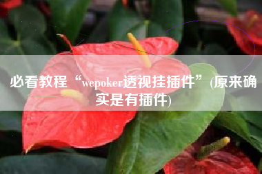 必看教程“wepoker透视挂插件”(原来确实是有插件)