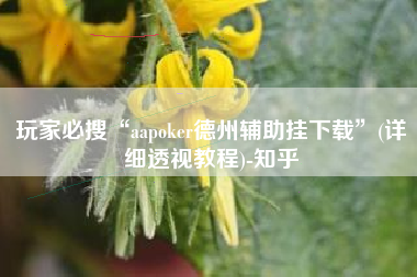 玩家必搜“aapoker德州辅助挂下载”(详细透视教程)-知乎