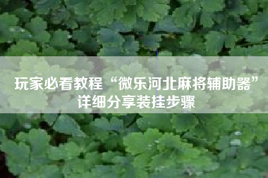 玩家必看教程“微乐河北麻将辅助器	”详细分享装挂步骤