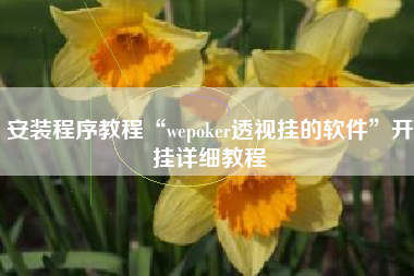 安装程序教程“wepoker透视挂的软件	”开挂详细教程