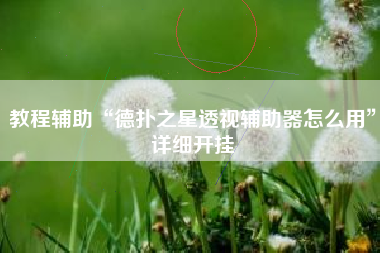 教程辅助“德扑之星透视辅助器怎么用	”详细开挂