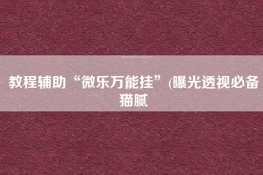 教程辅助“微乐万能挂”(曝光透视必备猫腻