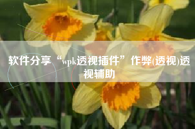 软件分享“wpk透视插件	”作弊(透视)透视辅助