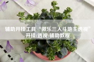 辅助开挂工具“微乐三人斗地主透视	”开挂(透视)辅助教程