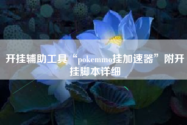 开挂辅助工具“pokemmo挂加速器	”附开挂脚本详细