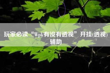 玩家必读“Wpk有没有透视”开挂(透视)辅助