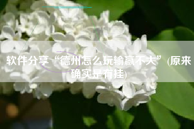 软件分享“德州怎么玩输赢不大	”(原来确实是有挂)