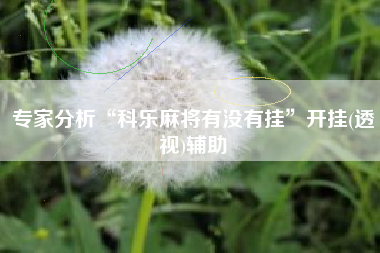 专家分析“科乐麻将有没有挂	”开挂(透视)辅助