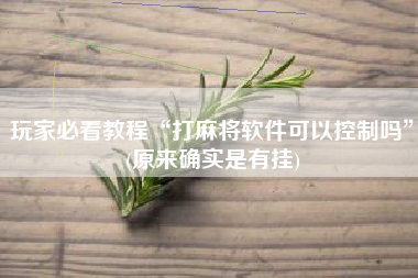 玩家必看教程“打麻将软件可以控制吗”(原来确实是有挂)