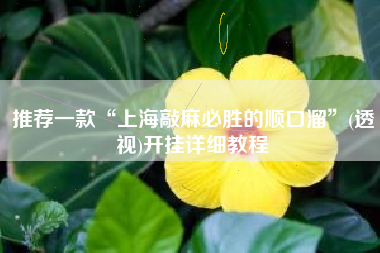 推荐一款“上海敲麻必胜的顺口溜	”(透视)开挂详细教程