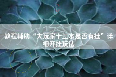 教程辅助“大玩家十三水是否有挂	”详细开挂玩法