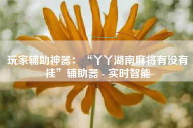 玩家辅助神器：“丫丫湖南麻将有没有挂	”辅助器 - 实时智能