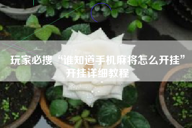 玩家必搜“谁知道手机麻将怎么开挂”开挂详细教程