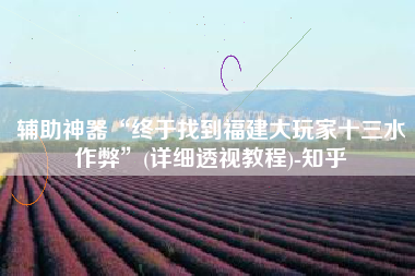 辅助神器“终于找到福建大玩家十三水作弊”(详细透视教程)-知乎