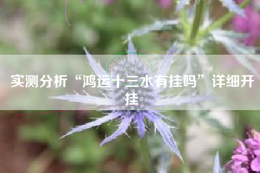 实测分析“鸿运十三水有挂吗	”详细开挂