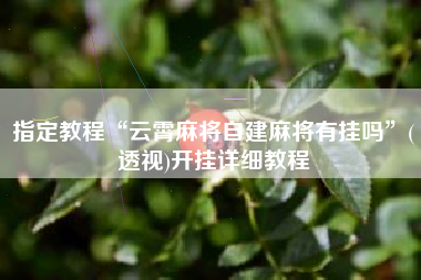 指定教程“云霄麻将自建麻将有挂吗”(透视)开挂详细教程