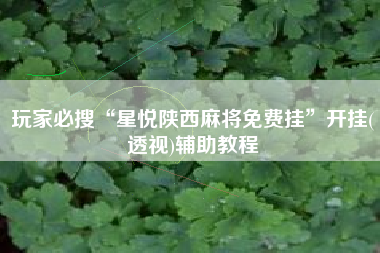 玩家必搜“星悦陕西麻将免费挂	”开挂(透视)辅助教程