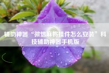 辅助神器“微信麻将挂件怎么安装	”科技辅助神器手机版