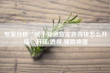 专家分析“终于知道皮皮跑得快怎么开挂”开挂(透视)辅助神器