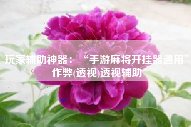 玩家辅助神器：“手游麻将开挂器通用”作弊(透视)透视辅助