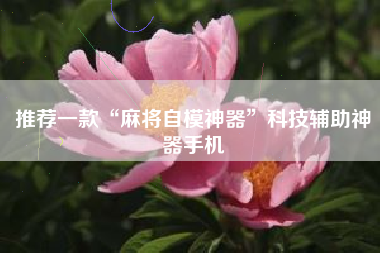 推荐一款“麻将自模神器”科技辅助神器手机