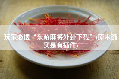 玩家必搜“东游麻将外卦下载”(原来确实是有插件)