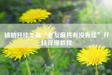辅助开挂工具“老友麻将有没有挂	”开挂详细教程