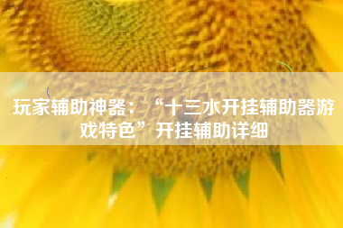 玩家辅助神器：“十三水开挂辅助器游戏特色”开挂辅助详细