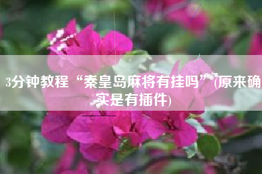 3分钟教程“秦皇岛麻将有挂吗”(原来确实是有插件)