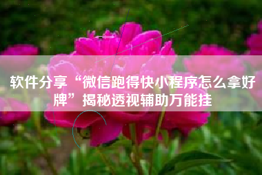 软件分享“微信跑得快小程序怎么拿好牌”揭秘透视辅助万能挂